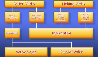 How To Identify Verbs in Sentences