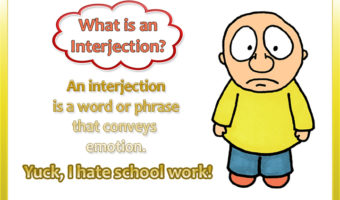 What are Interjections?
