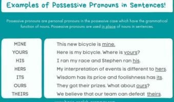 Examples of Possessive Pronouns in Sentences!