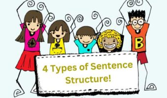 What are the 4 Types of Sentence Structure?