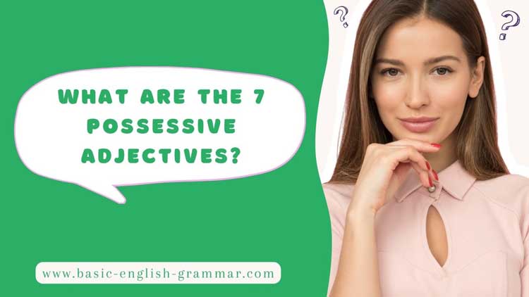 What are the 7 Possessive Adjectives?